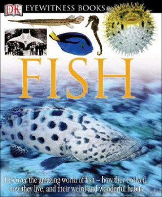 Könyv Fish Steve Parker