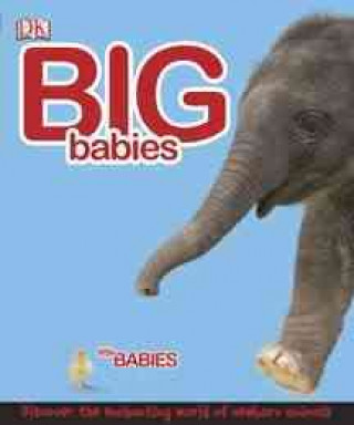 Knjiga Big Babies, Little Babies Lorrie Mack