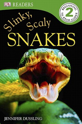 Kniha Slinky, Scaly Snakes Jennifer Dussling