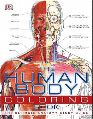 Книга The Human Body Coloring Book Inc. Dorling Kindersley