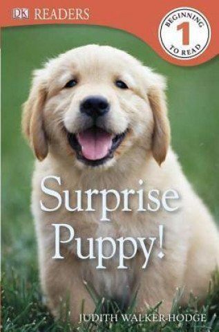 Livre DK READERS L1 SURPRISE PUPPY Judith Walker-Hodge