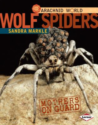 Książka Wolf Spiders Sandra Markle