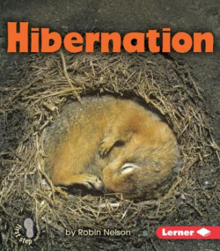Carte Hibernation Robin Nelson