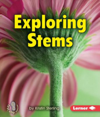 Knjiga Exploring Stems Kristin Sterling