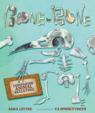 Könyv Bone By Bone Sara Levine
