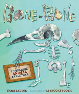 Buch Bone By Bone Sara Levine