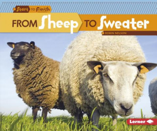 Livre From Sheep To Sweater Robin Nelson