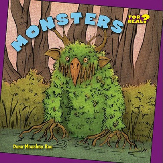 Knjiga Monsters Dana Meachen Rau