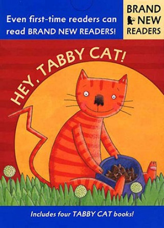 Kniha Hey, Tabby Cat! Phyllis Root
