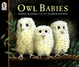 Carte Owl Babies Martin Waddell