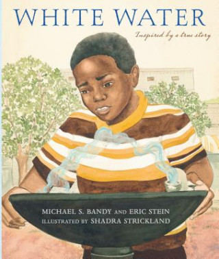 Carte White Water Michael S. Bandy