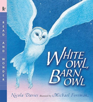 Kniha White Owl, Barn Owl Nicola Davies