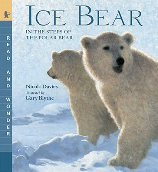 Book Ice Bear Nicola Davies