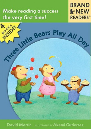 Könyv Three Little Bears Play All Day David Martin