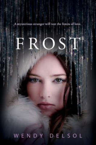 Könyv Frost Wendy Delsol