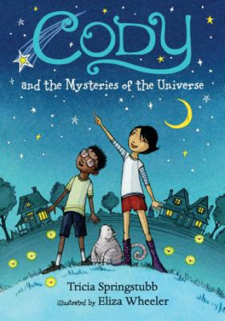 Knjiga Cody and the Mysteries of the Universe Tricia Springstubb