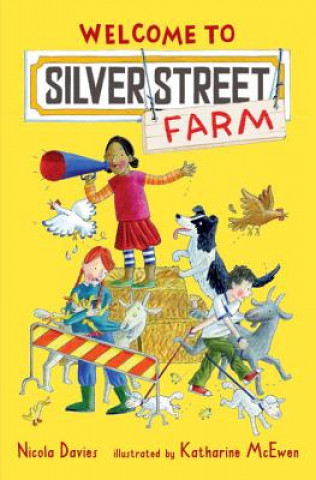 Kniha Welcome to Silver Street Farm Nicola Davies