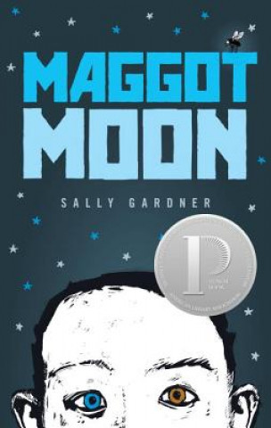 Buch Maggot Moon Sally Gardner