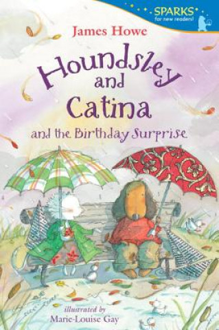 Książka Houndsley and Catina and the Birthday Surprise James Howe