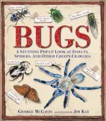Könyv Bugs George McGavin