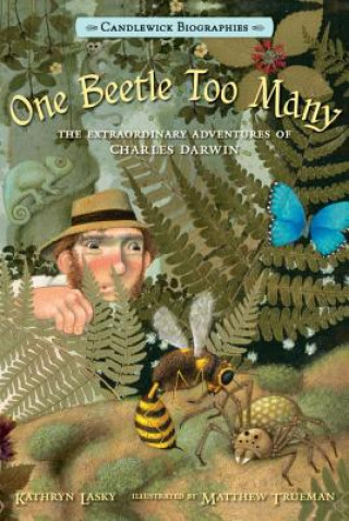 Livre One Beetle Too Many Kathryn Lasky