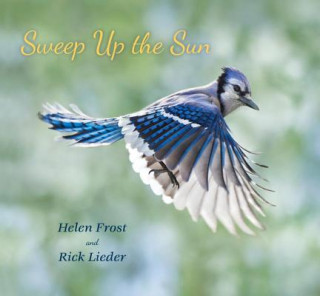 Buch Sweep Up the Sun Helen Frost