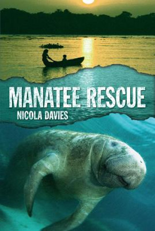 Książka Manatee Rescue Nicola Davies