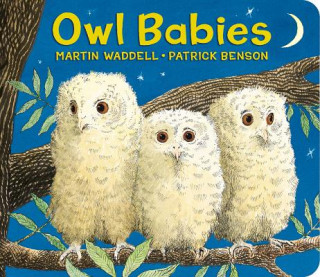 Książka Owl Babies Martin Waddell