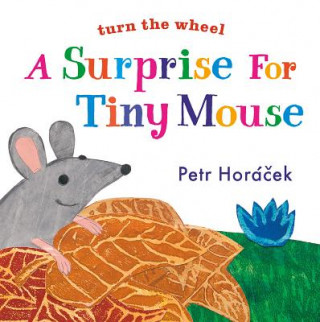 Kniha A Surprise for Tiny Mouse Petr Horáček