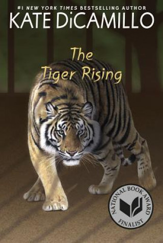 Kniha Tiger Rising Kate DiCamillo