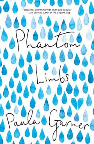 Boek Phantom Limbs Paula Garner