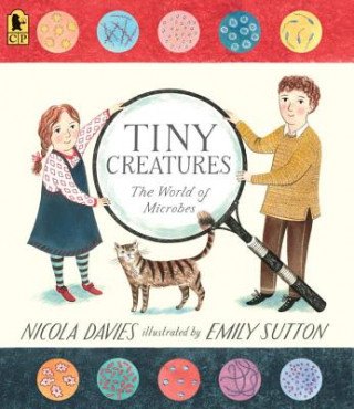 Kniha Tiny Creatures Nicola Davies