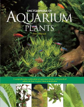 Kniha Encyclopedia of Aquarium Plants Peter Hiscock