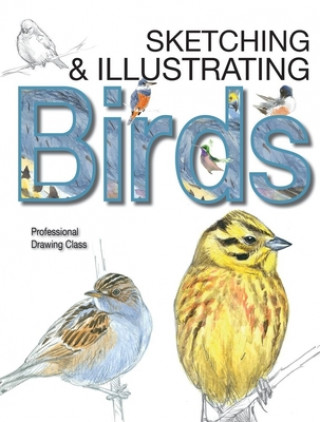 Livre Sketching & Illustrating Birds Juan Varela Simo