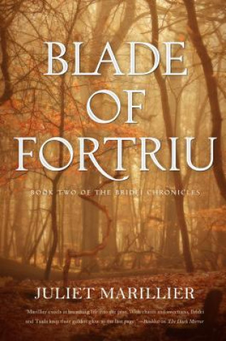 Kniha Blade of Fortriu Juliet Marillier