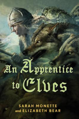 Könyv Apprentice to Elves Sarah Monette
