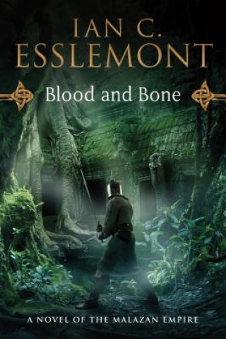 Книга Blood and Bone Ian C. Esslemont