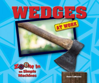 Buch Wedges at Work Dawn Lamachia