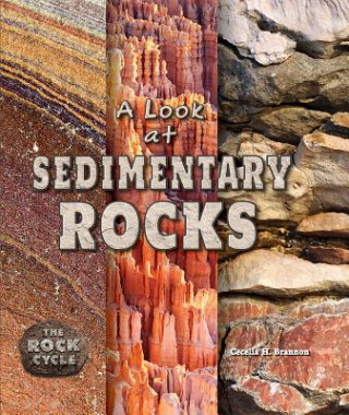 Knjiga A Look at Sedimentary Rocks Cecelia H. Brannon
