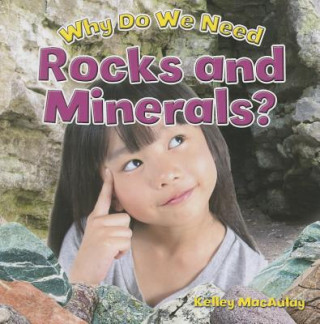 Książka Why Do We Need Rocks and Minerals? Kelley Macaulay