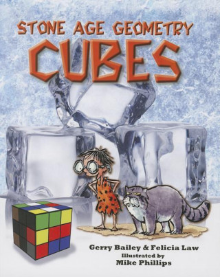 Libro Cubes Gerry Bailey