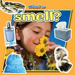 Buch What Is Smell? Molly Aloian