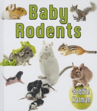 Book Baby Rodents Bobbie Kalman