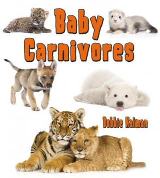 Libro Baby Carnivores Bobbie Kalman