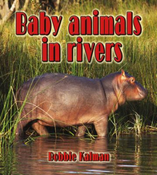 Kniha Baby Animals in Rivers Bobbie Kalman