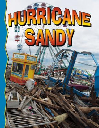 Book Superstorm Sandy Lynn Peppas