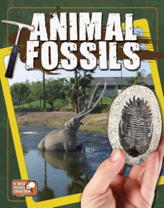 Carte Animal Fossils Natalie Hyde