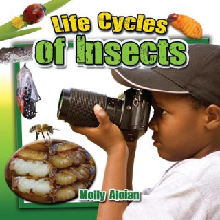 Carte Life Cycles of Insects Molly Aloian