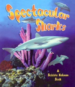 Book Spectacular Sharks Bobbie Kalman