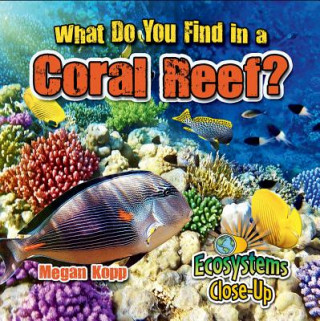 Libro What Do You Find in a Coral Reef? Megan Kopp